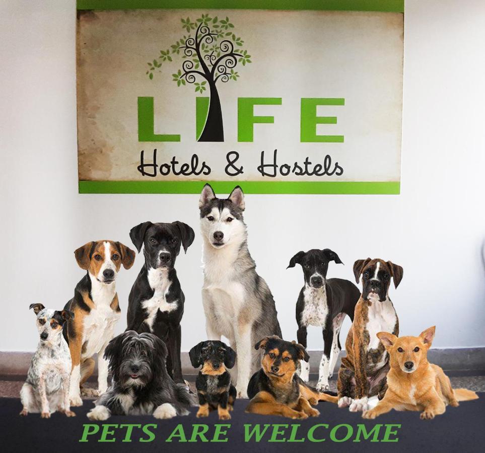 Life Slovenia Hostel Radovljica